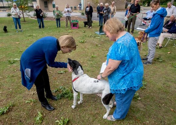 Pet Blessing 2019 October (3)